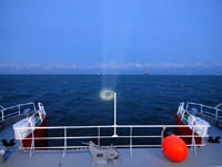 Licht im Dunkel
