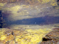 Tiefblick